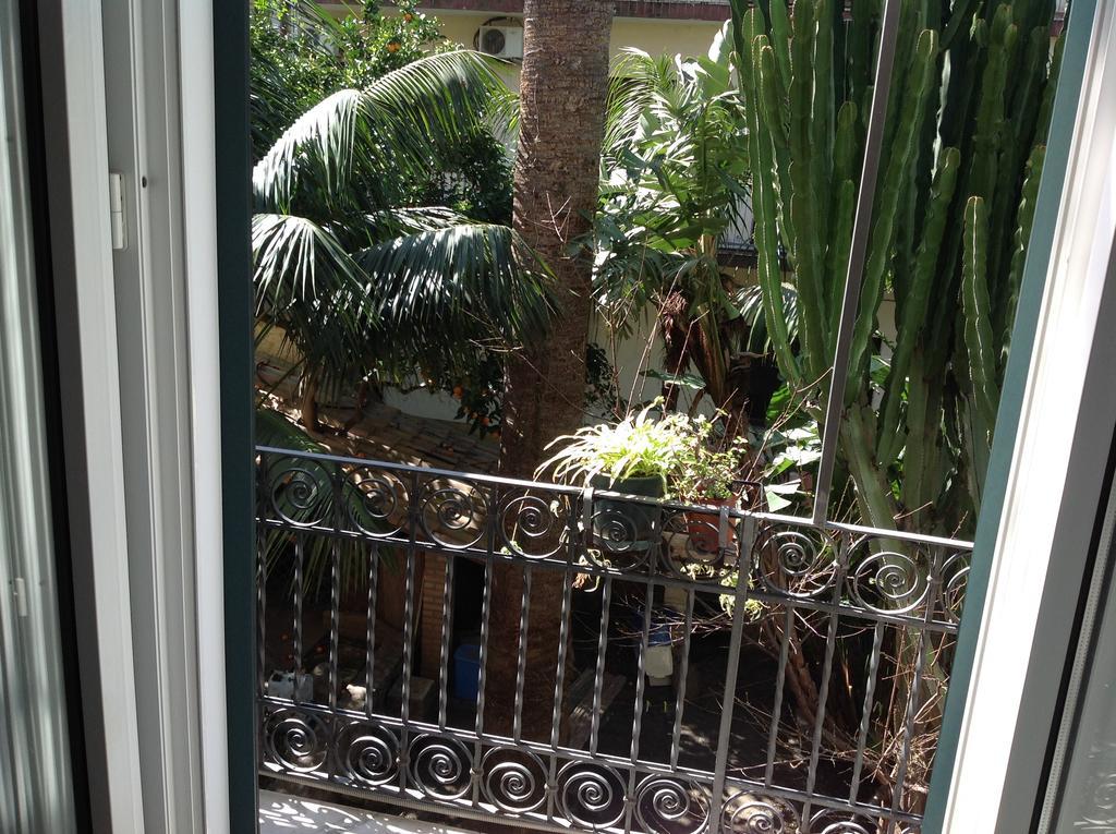 Sara Accommodation 特罗佩阿 外观 照片